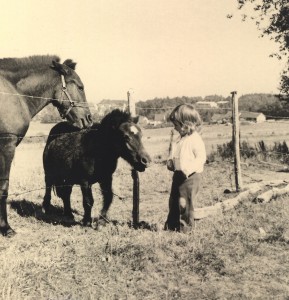 Waldbröl Spätsommer 1971